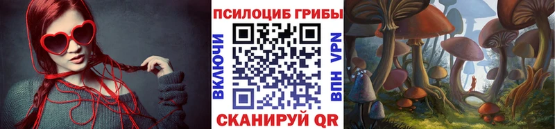 KRAKEN зеркало  Гвардейск  Галлюциногенные грибы MAGIC MUSHROOMS  закладка 